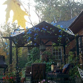 The front pergola at home